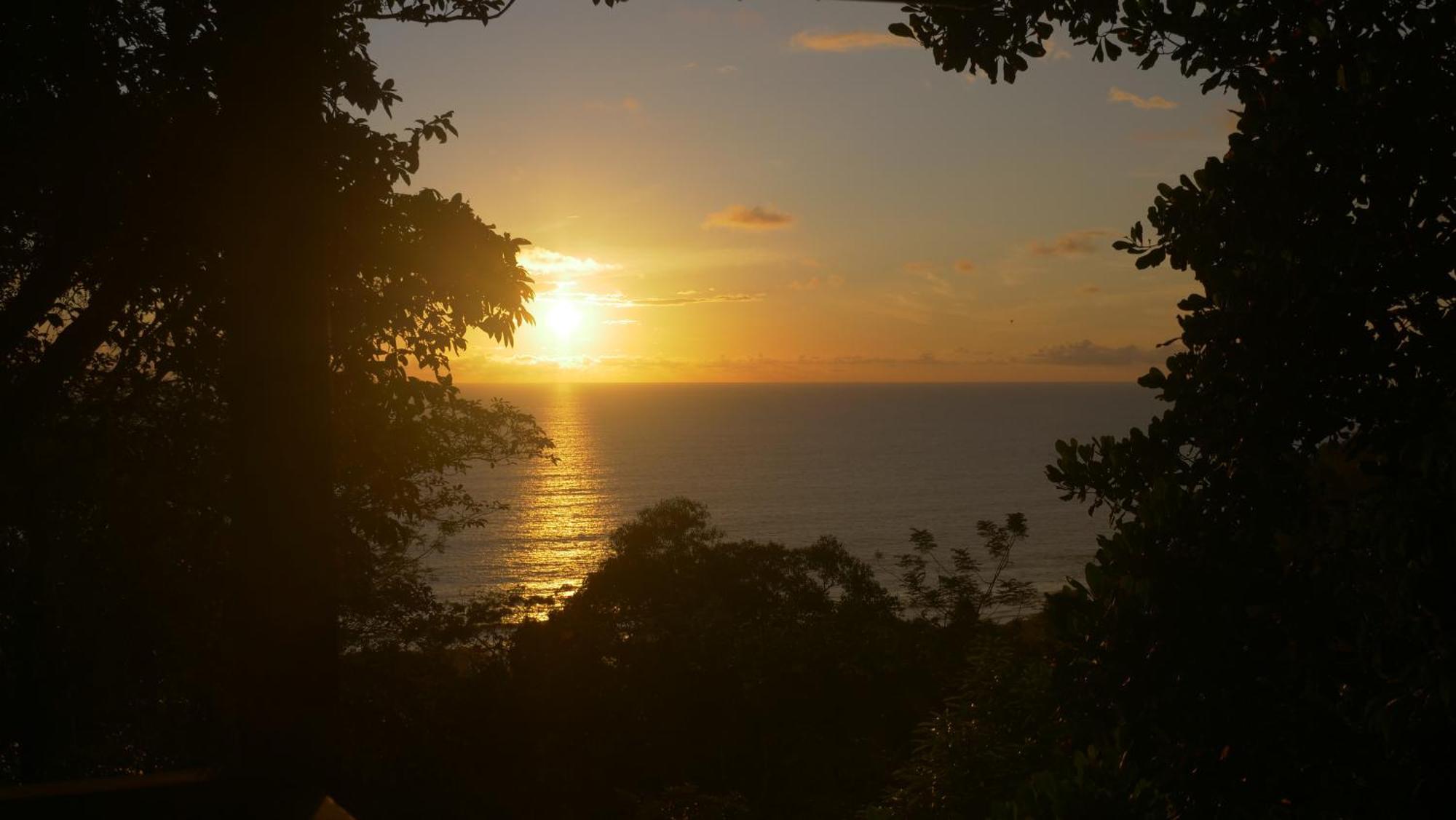 Casa Oh - Oceanview Guesthouse Uvita Eksteriør bilde