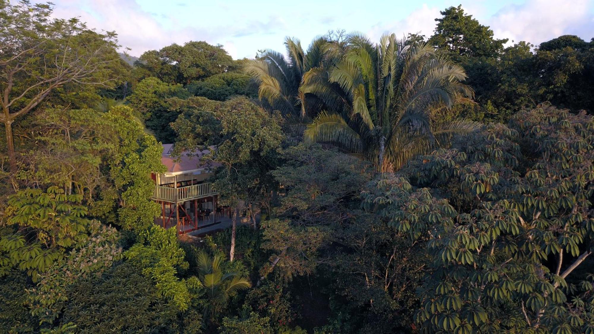 Casa Oh - Oceanview Guesthouse Uvita Eksteriør bilde