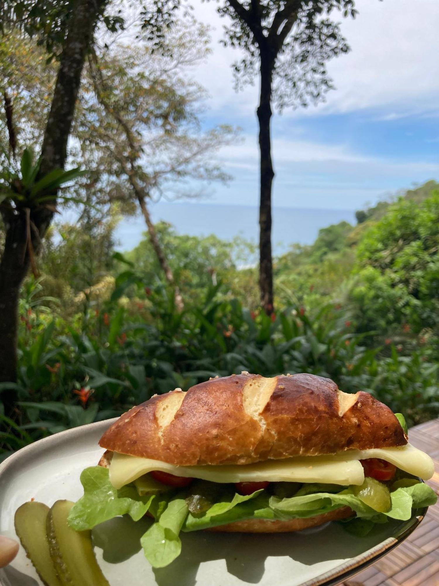 Casa Oh - Oceanview Guesthouse Uvita Eksteriør bilde
