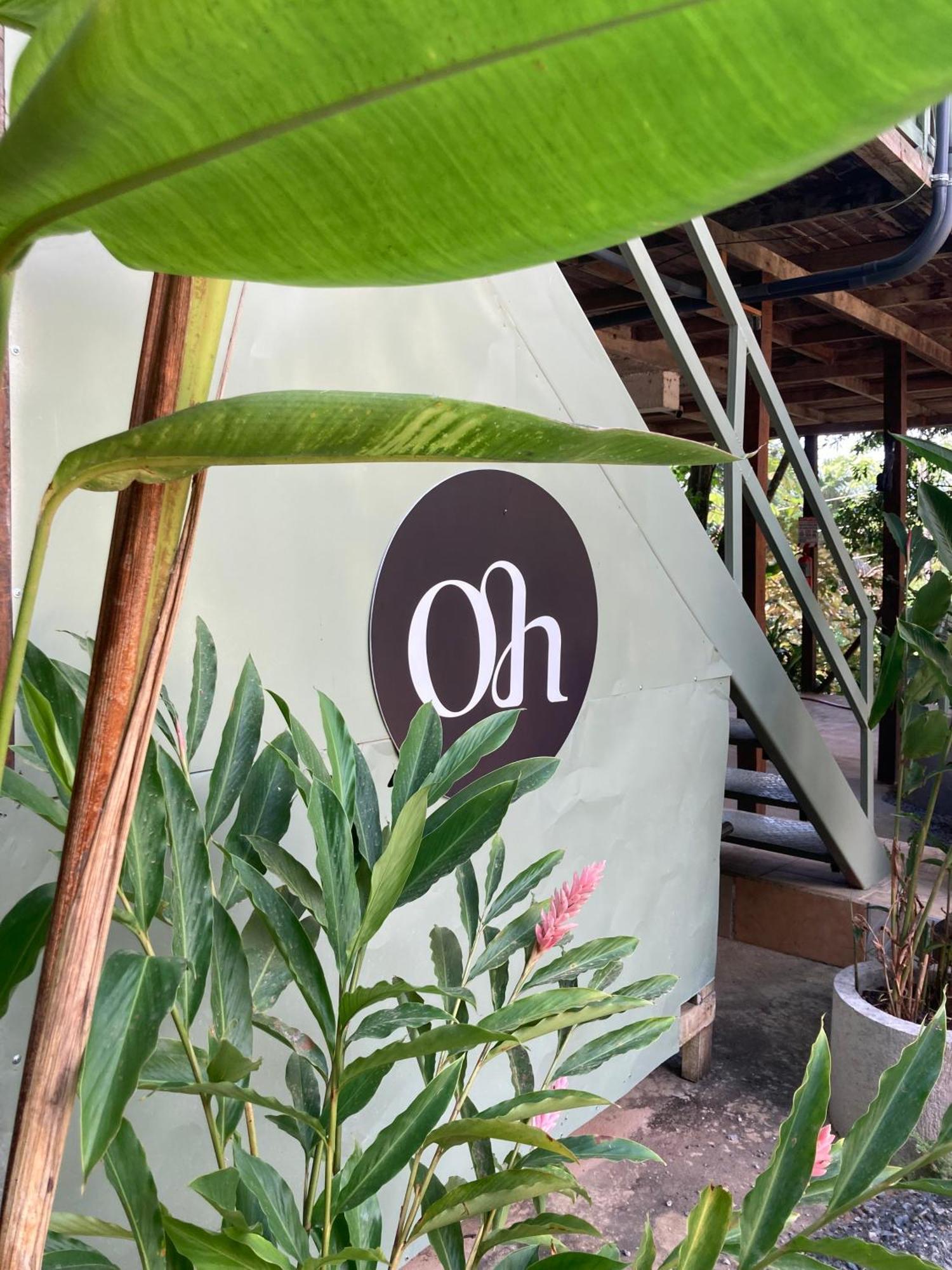 Casa Oh - Oceanview Guesthouse Uvita Eksteriør bilde